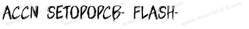 ACCN SetoPopCB- Flash字体转换